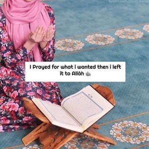 Meet your Posher, Rahmet